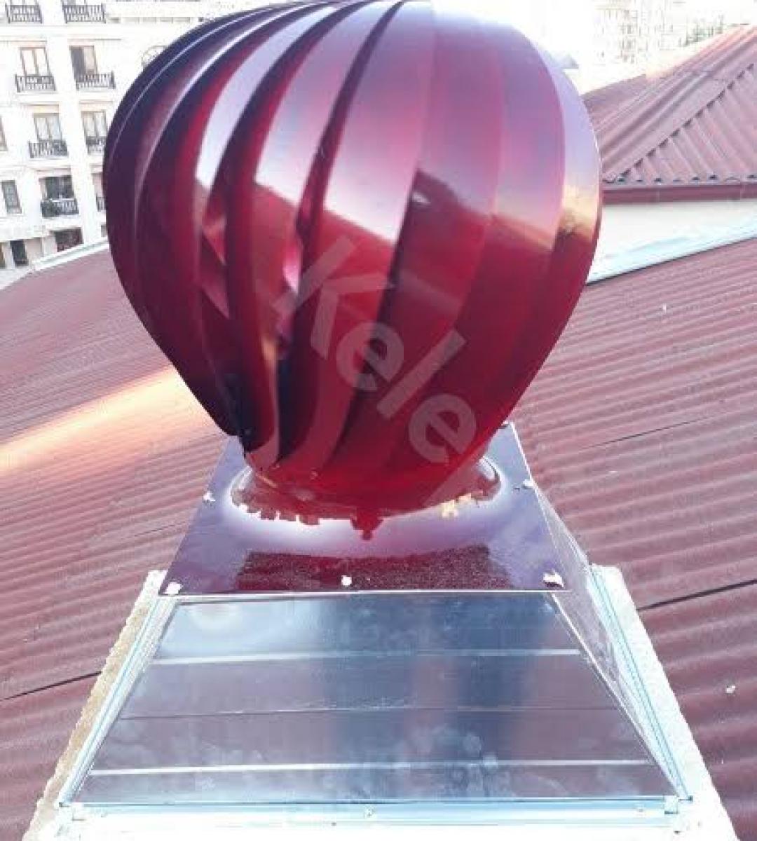 Whatsapp Image 2021 06 01 At 19.14.36