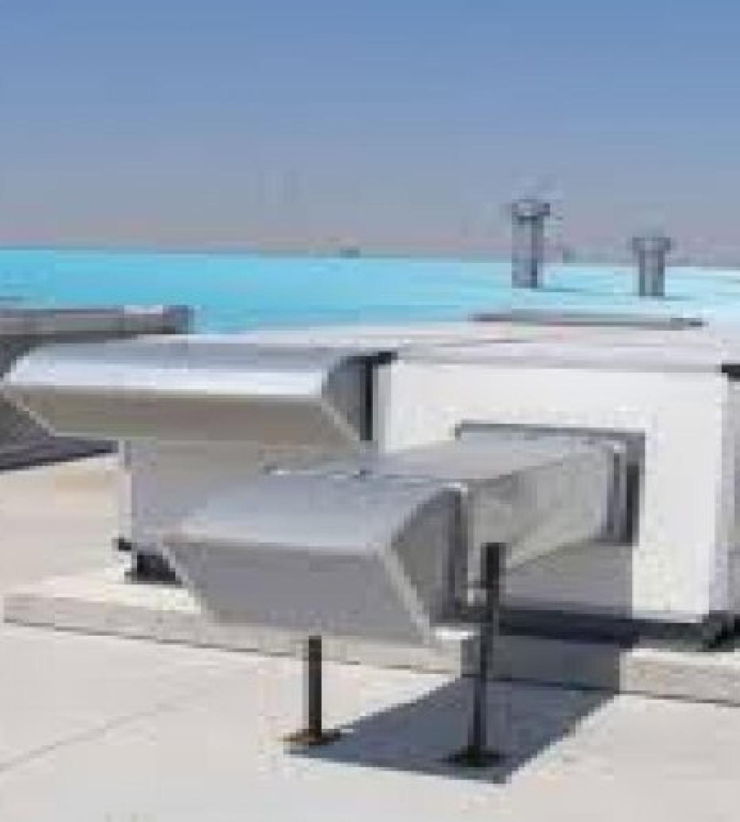 Whatsapp Image 2021 06 01 At 19.16.11